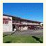 Chestnut Tree Inn Portland Mall 205 photo