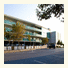 Atlantic Sands Hotel and Conference Center photo