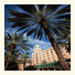 Vinoy Renaissance St. Petersburg Resort