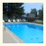 Knotty Pine Motel photo