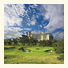 JW Marriott San Antonio Hill Country Resort photo