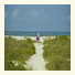 Tropical Winds Beachfront Motel and Cottages