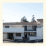 Orange Tree Inn