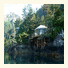 Orca Island Cabins