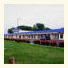 Tollway Inn
