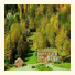 Ten Acres Lodge