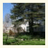 Le Vatout Bed & Breakfast