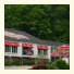 Shalimar Resort photo