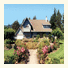 Oleander House