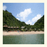 Monkey Island Resort photo
