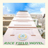 Rice Field Hotel photo