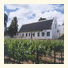 Port Wine Guest House
