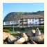 The View Sunnycove photo