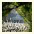 Auberge Clermont photo