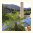 Bamboo Cottage photo