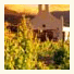 Le Manoir de Brendel photo