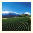 Mont Rochelle Hotel & Mountain Vineyards photo