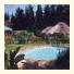Coral Tree Cottages photo