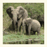 Cambalala - Kruger Park Lodge photo