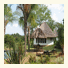 Jackalberry Farm & Lodge photo