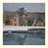 Blyde River Canyon Lodge photo