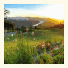 Simola Hotel, Country Club & Spa photo