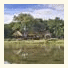 Simbavati River Lodge