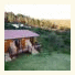 Piesang Valley Lodge photo