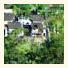 Coral Tree Inn photo