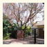 The Coral Tree House